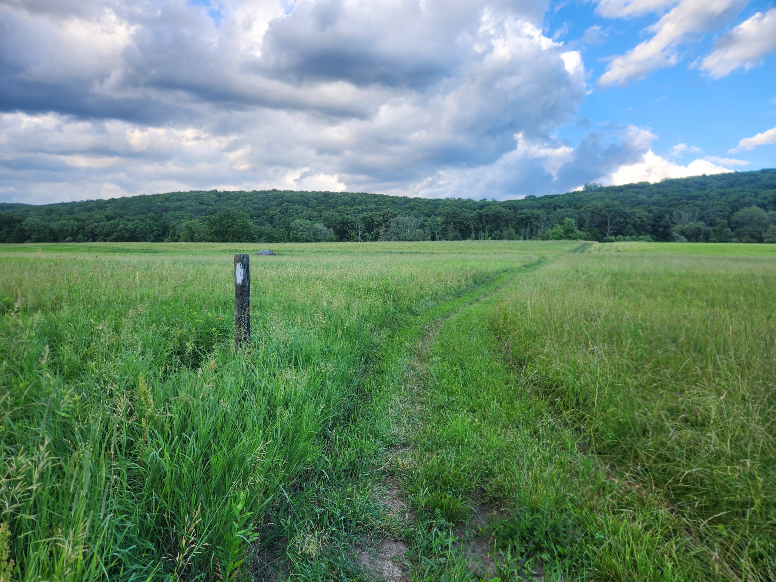 The Appalachian Trail catches fire on a wooden post crossing open pastures under storm clouds.