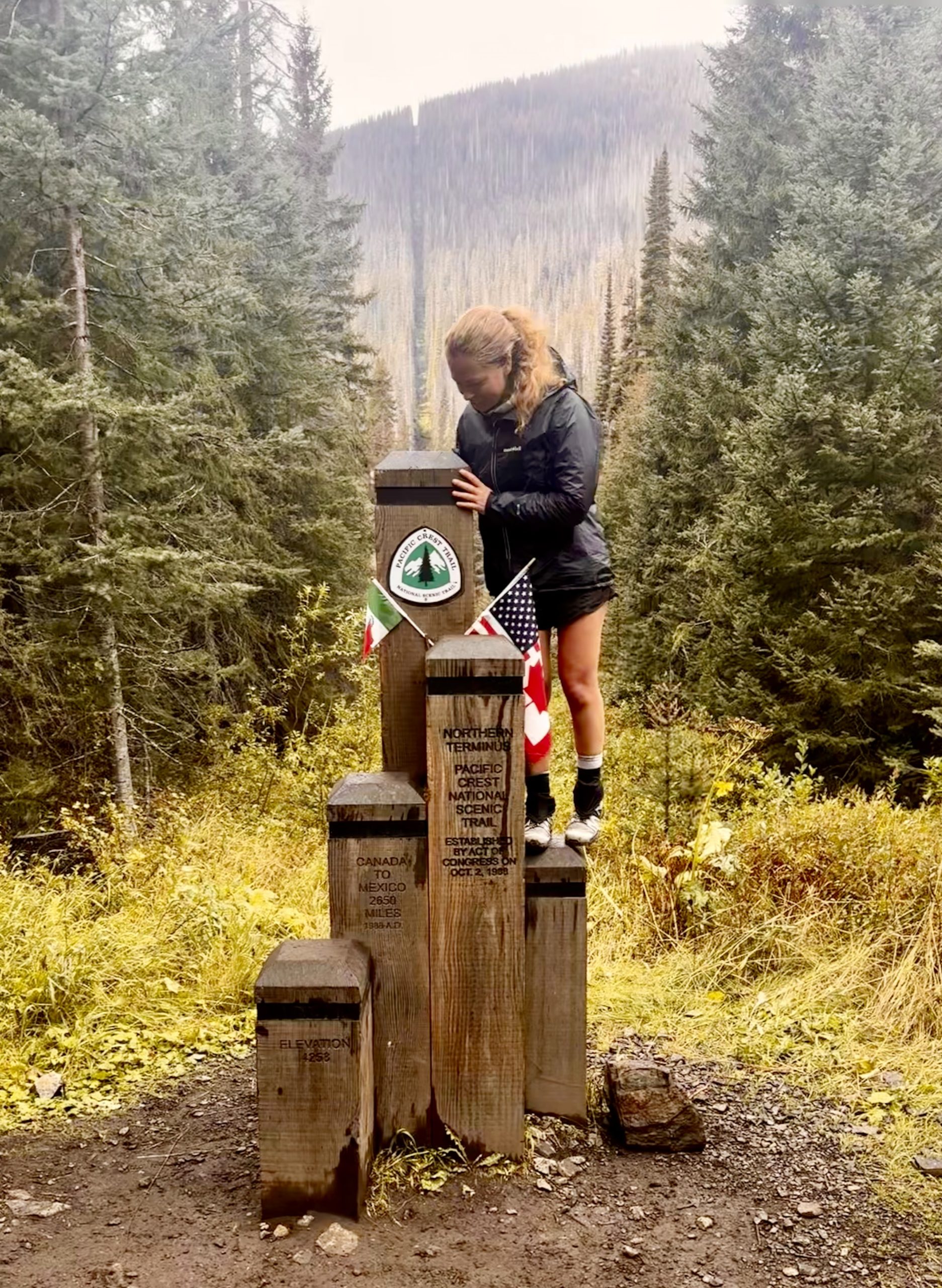PCT - North Terminal Image