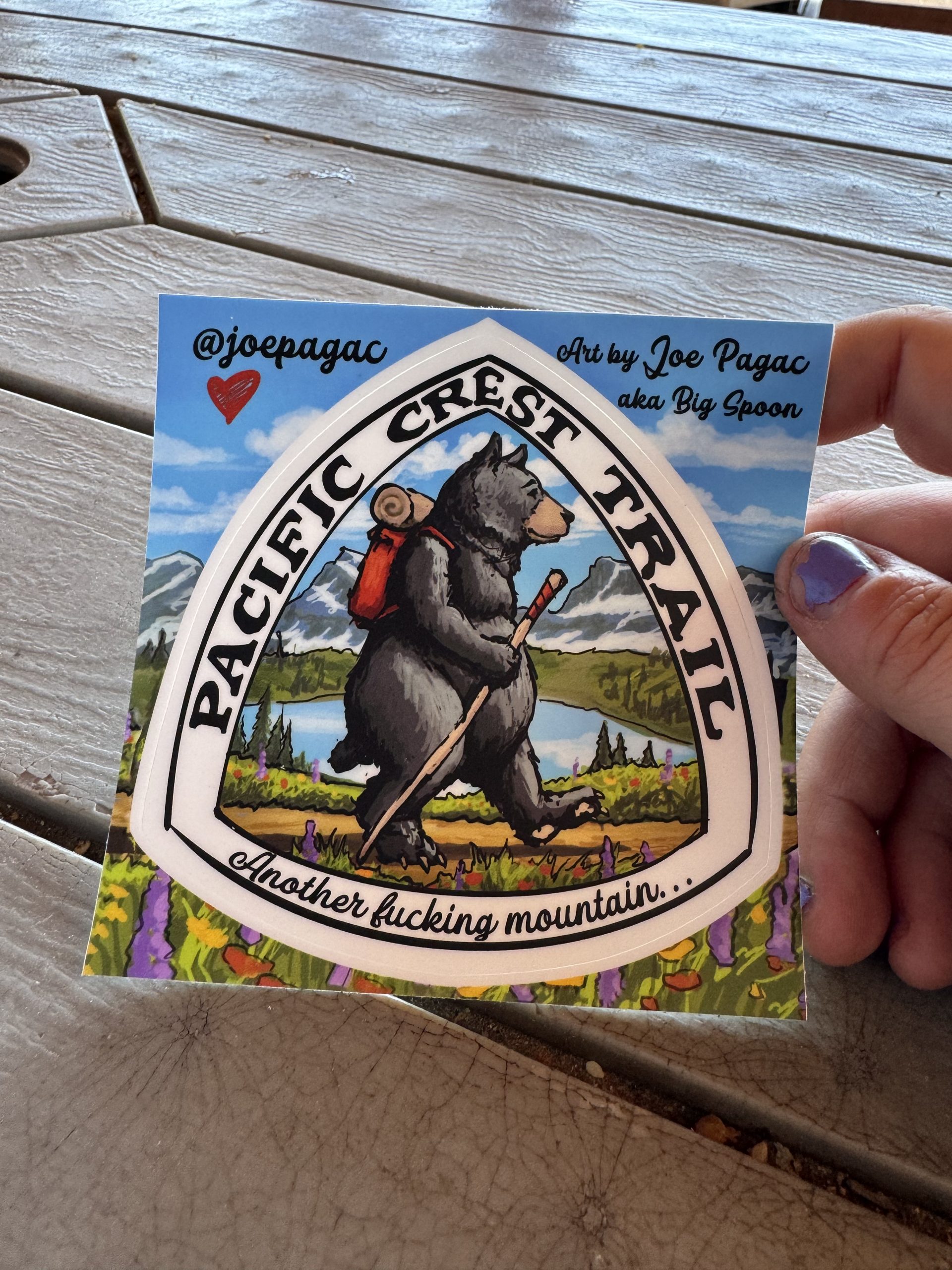 PCT Bear Sticker.
