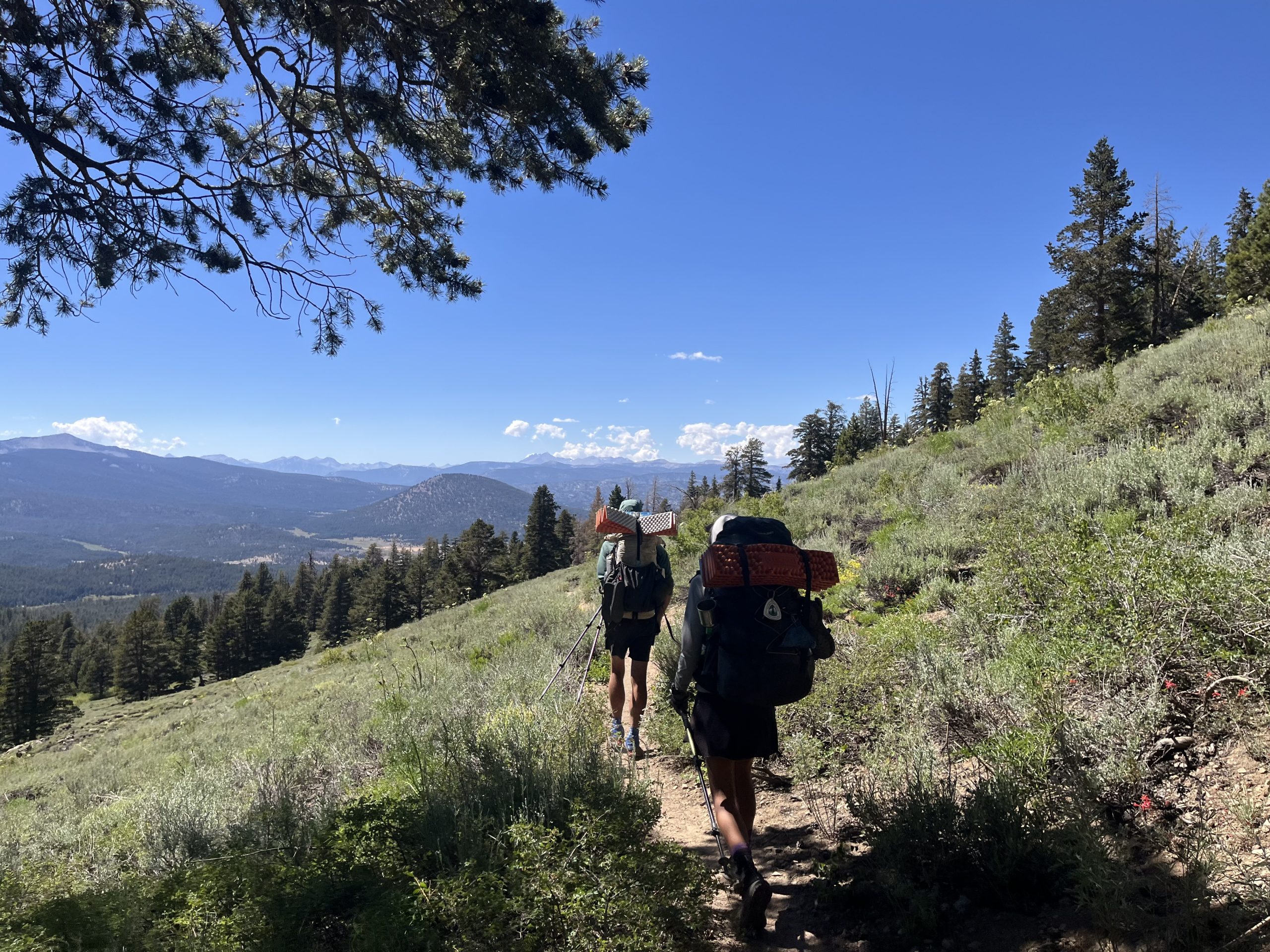 Chap. 50 – Sunburned legs and panoramic views Chap. 50 – Sunburned legs and panoramic views