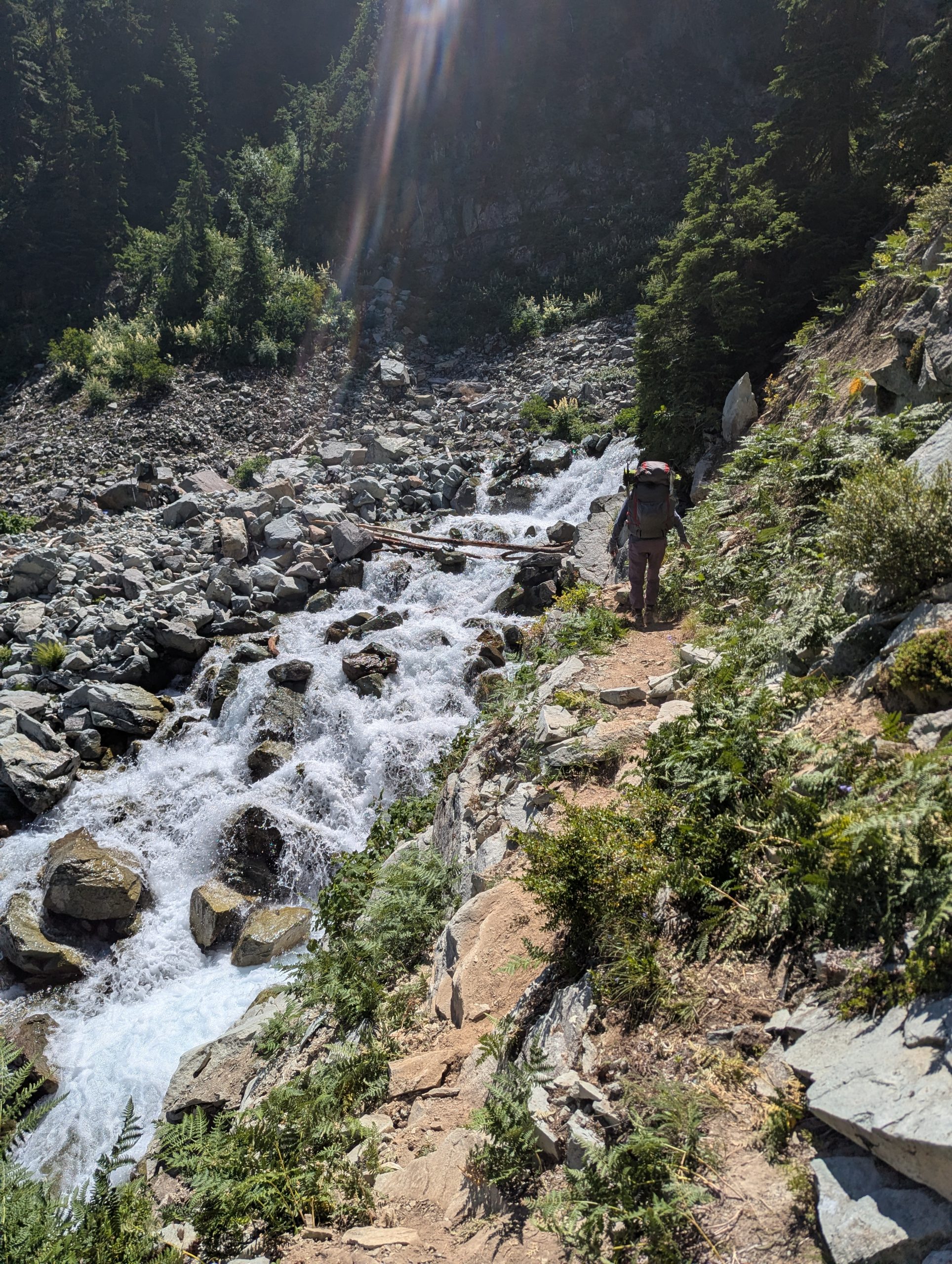 Hiker's Journey on the Pacific Crest Trail: Challenges and Encounters