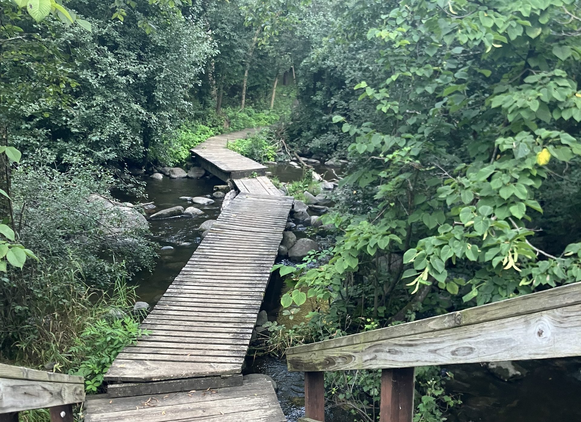 Six Days on the Ice Age Trail in August: Days 1 and 2