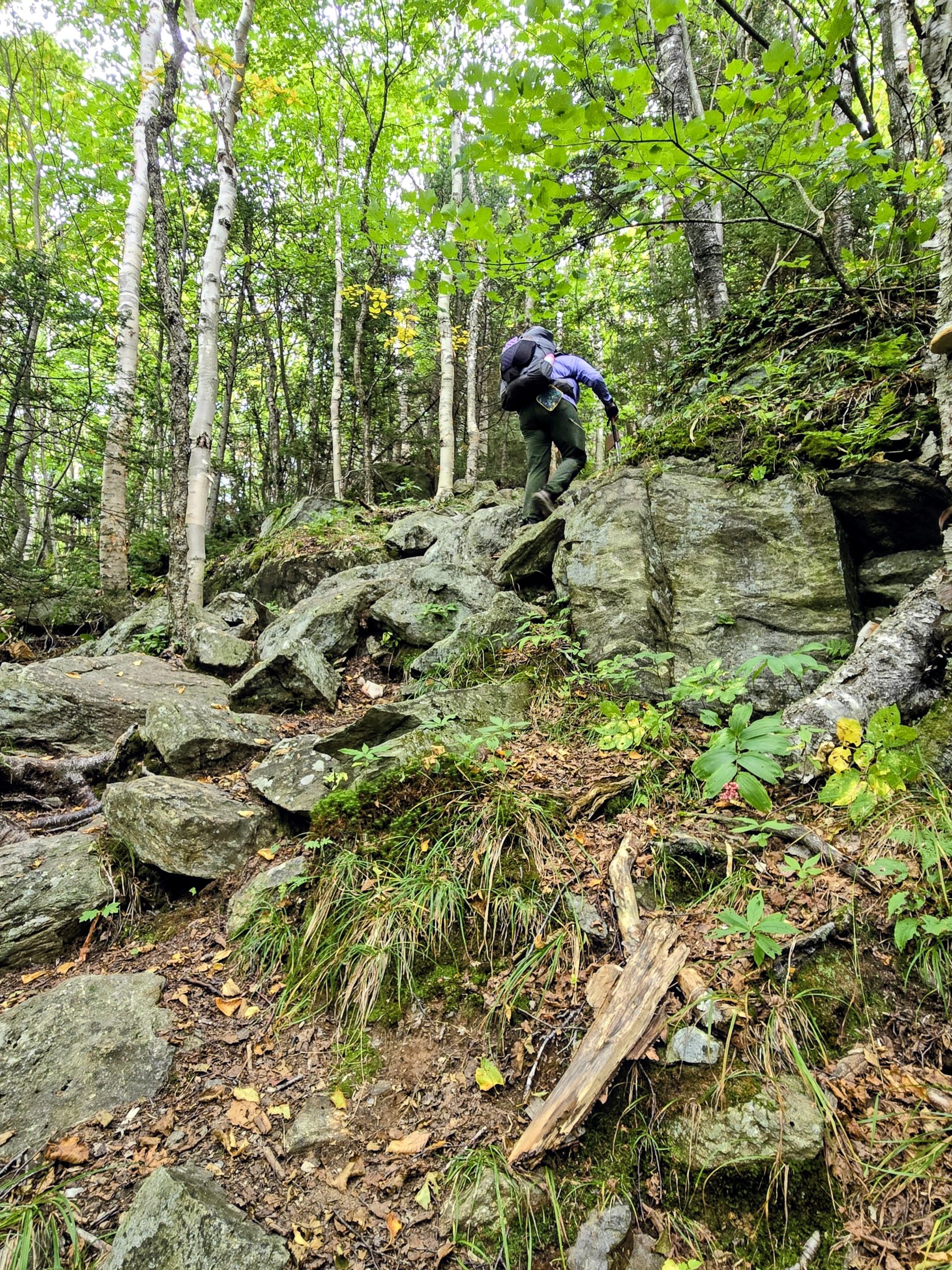 Backpacker on roots and rocks