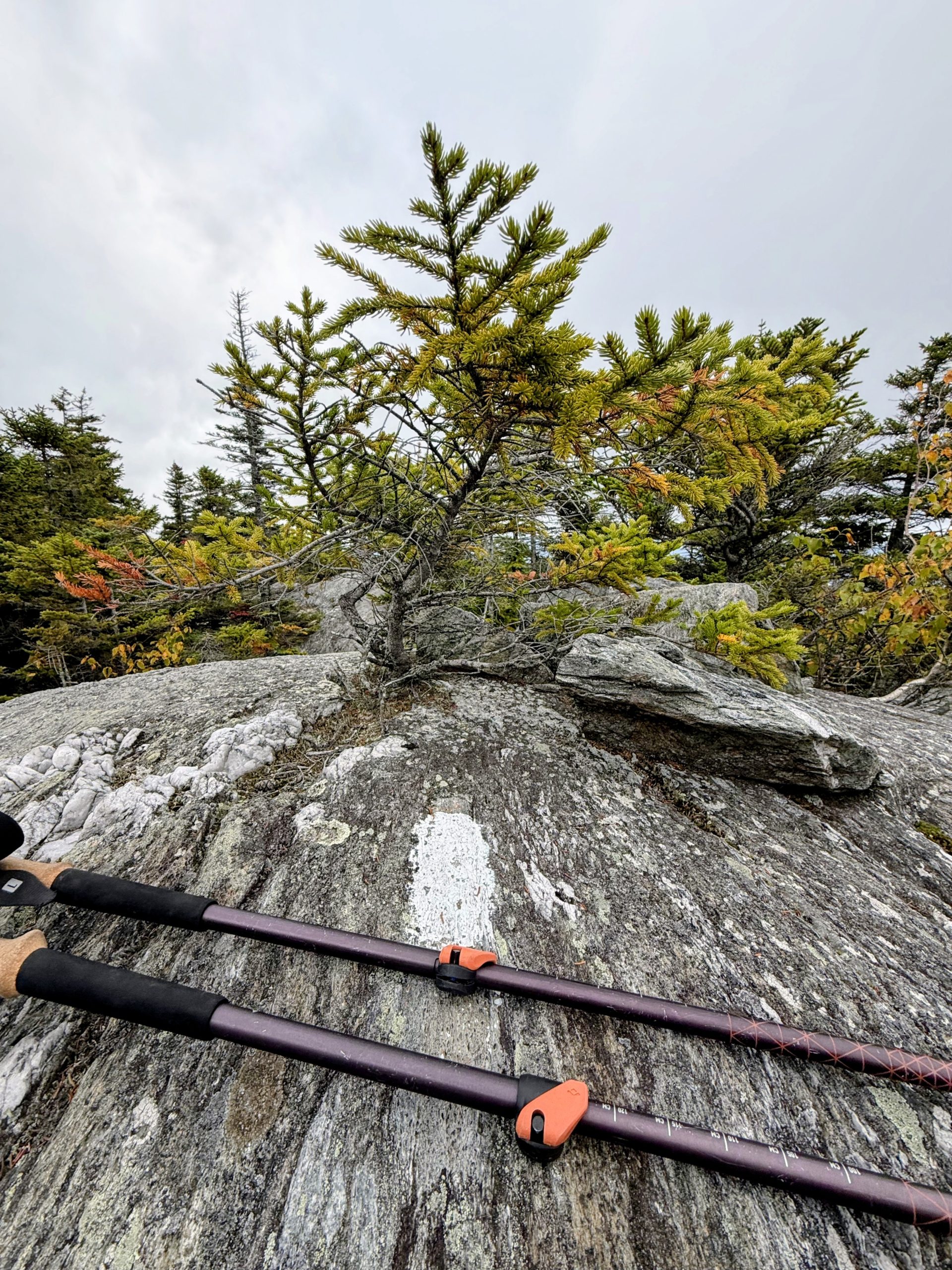 White blaze on a granite rock slab with tewkong poles in the foreground