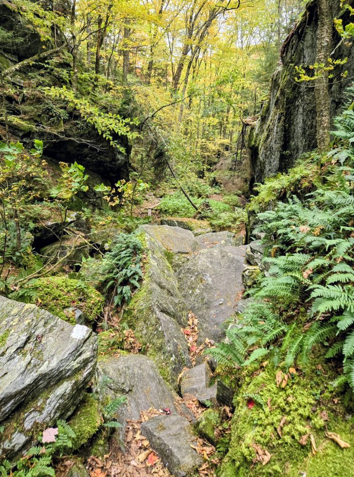 Ravine filled with a jumble of rocks and moss