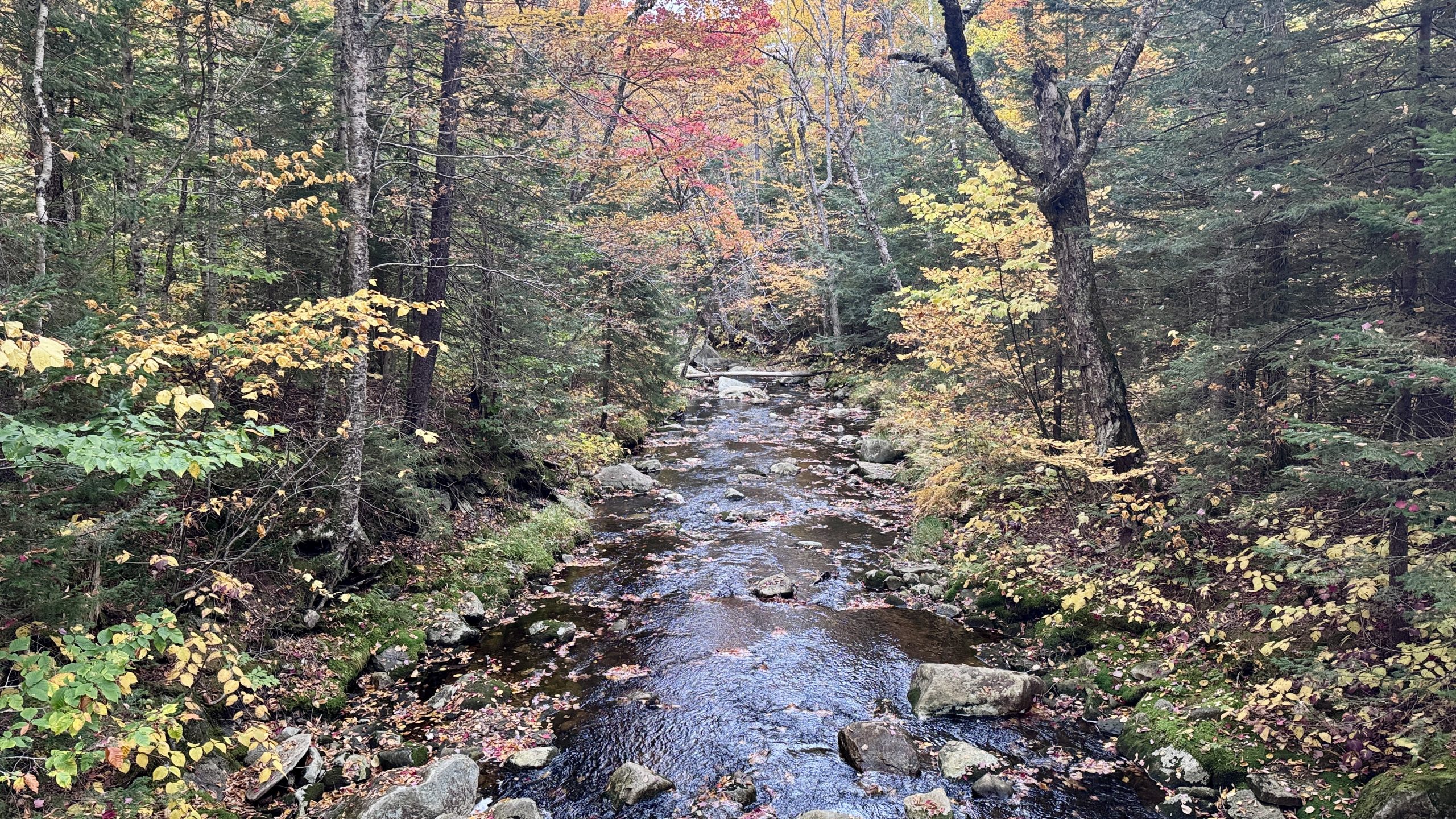 Stratton Shortcut - The Trek