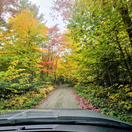 Narrow forest dirt road with fall foliage