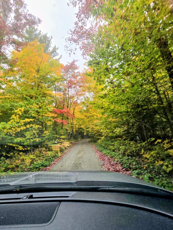 Narrow forest dirt road with fall foliage