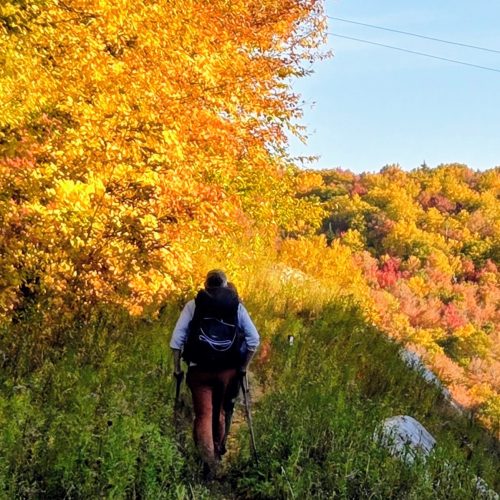Two hikers heading out into the fall foliage
