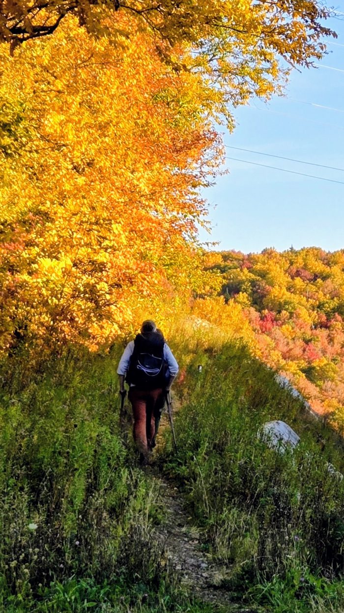 Two hikers heading out into the fall foliage